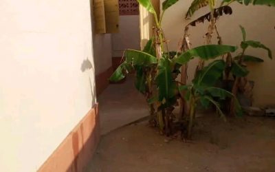 Agbalépédo AL02, à louer appartement non meublé de 4 pièces à Lomé Togo